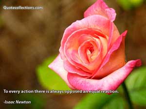 Isaac Newton Quotes 4